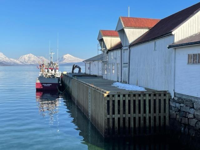 1. Etg I Dampskipsbrygga, Lodingen Havn Экстерьер фото