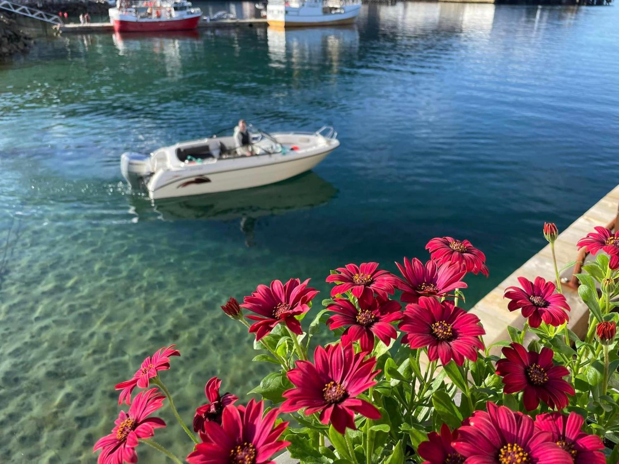 1. Etg I Dampskipsbrygga, Lodingen Havn Экстерьер фото