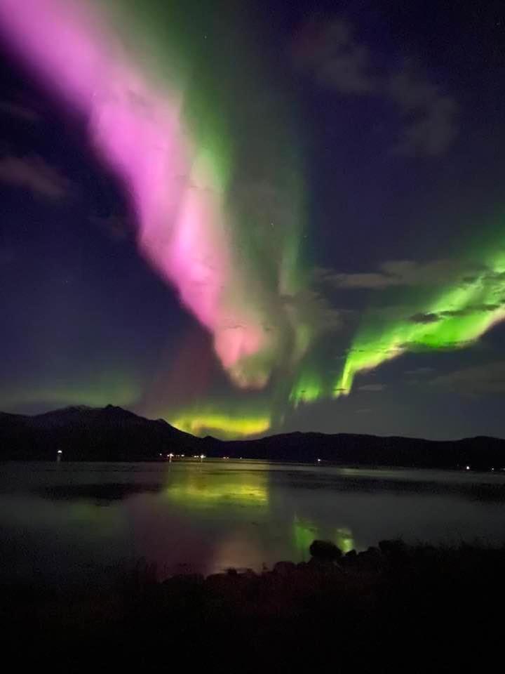 1. Etg I Dampskipsbrygga, Lodingen Havn Экстерьер фото
