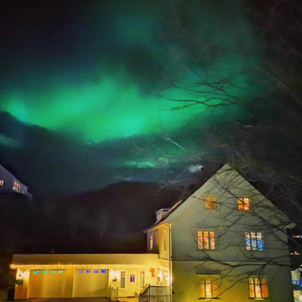 1. Etg I Dampskipsbrygga, Lodingen Havn Экстерьер фото